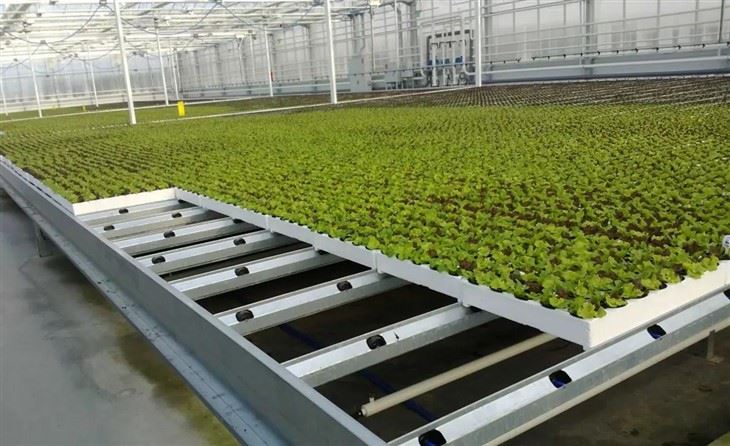 Greenhouse NFT System suppliers